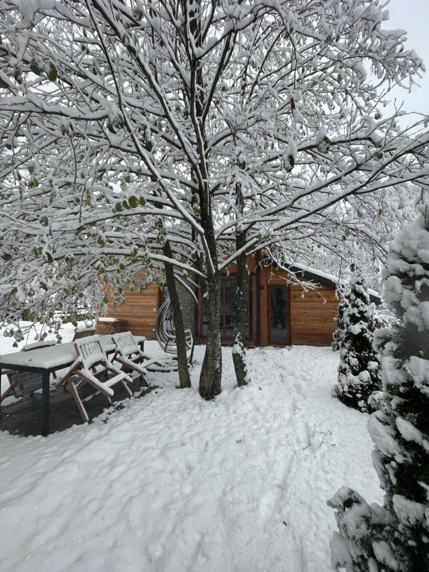 Villa Alpina Brezovice Exterior photo